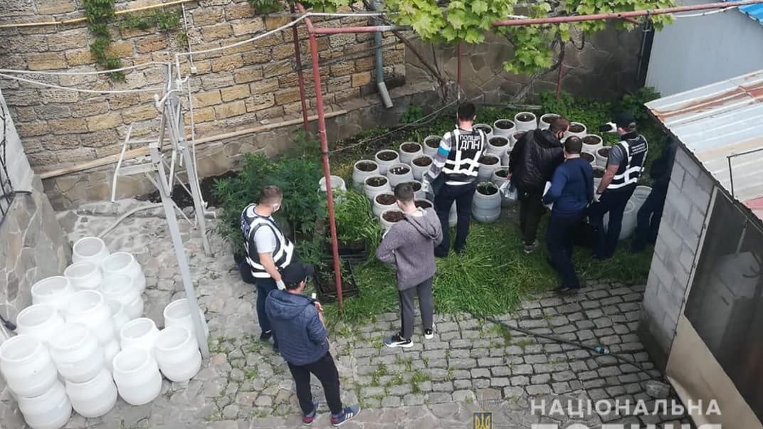 Чоловік у Бердянську мав наркотиків на мільйон, але від поліції сховати не зміг