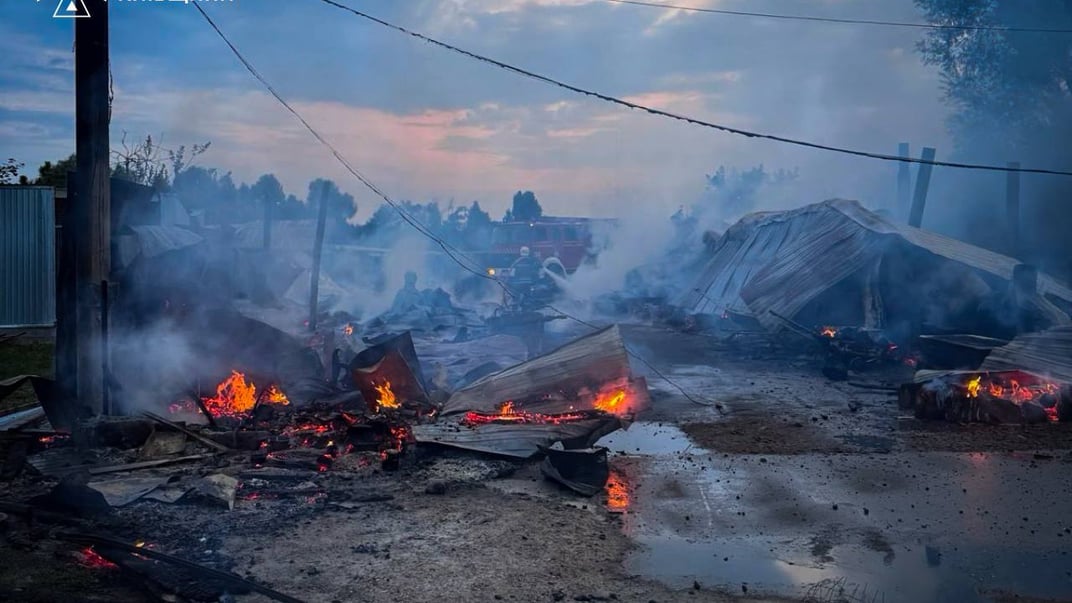 Пожежа в притулку на Київщині Пожежа в притулку на Київщині