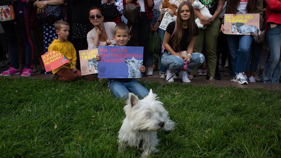 Всеукраинский марш за животных, Киев, 15 сентября 2019 года