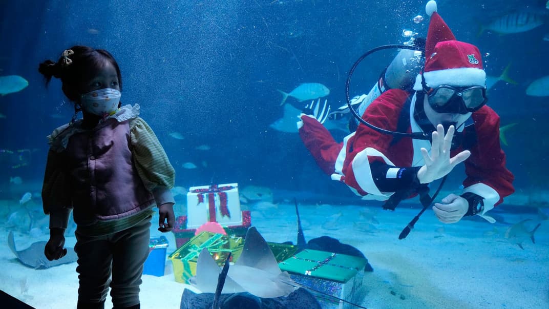 Дівчинка спостерігає за водолазом у вбранні Санта-Клауса під час заходу, присвяченого прийдешнім святам в акваріумі Коекс, Сеул, Південна Корея, 3 грудня 2021 року. Різдво — одне з найбільших свят для Південної Кореї