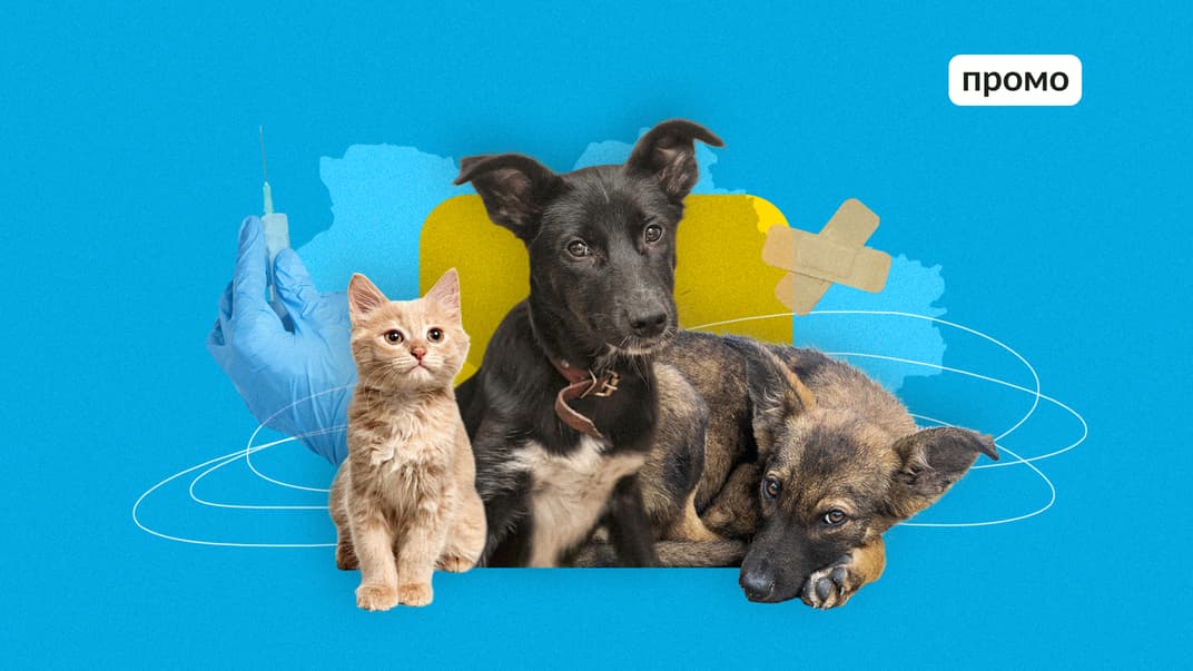 У травні будуть безкоштовно вакцинувати тварин від сказу та вірусних захворювань. Як та де отримати послугу?