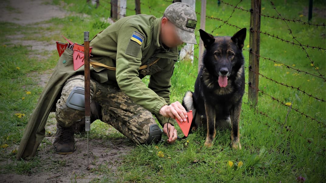Ілюстративне фото. Український прикордонник та собака-сапер 