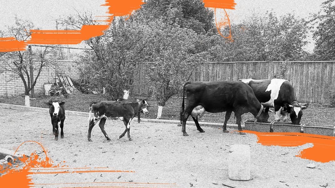 «Як повантажити на причіп пів століття життя?» Історія фермера з Донеччини