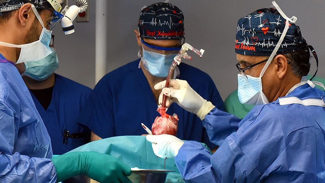 Операція з пересадки серця свині людині