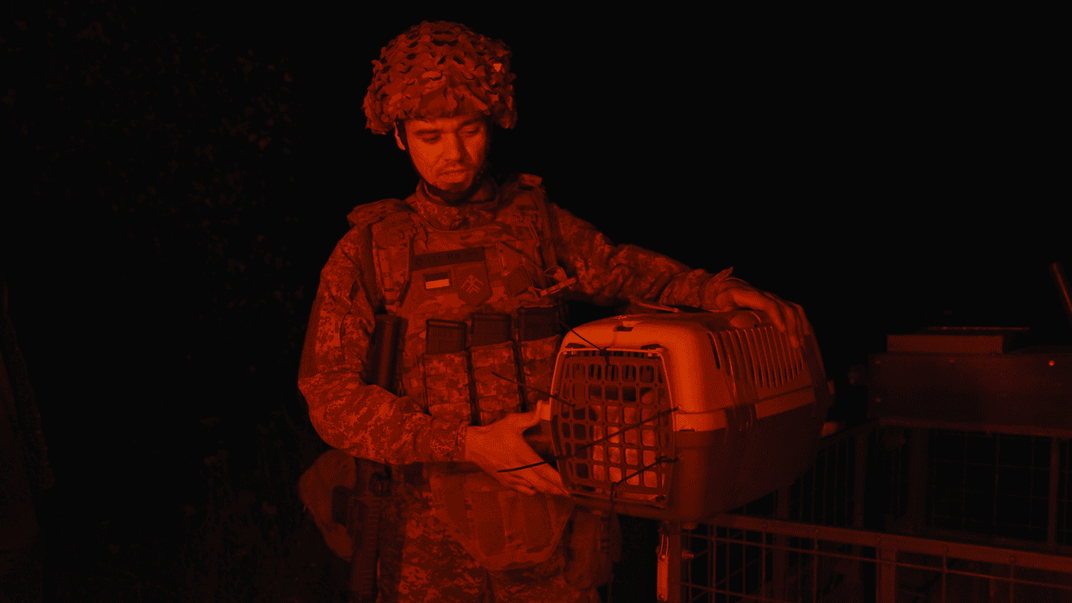 Кота на псевдо Прапор евакуювали з передової