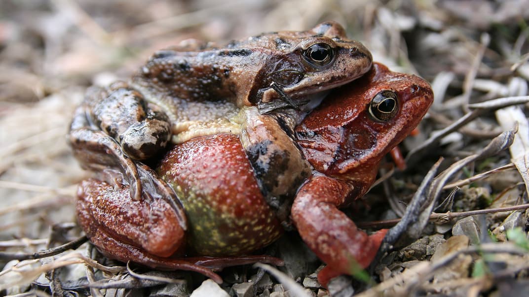 Иллюстративное фото