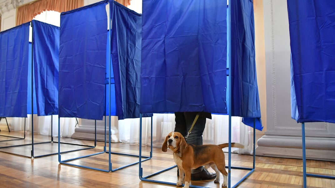 Виборець із собакою стоїть у кабінці для голосування на виборчій дільниці під час другого туру президентських виборів в Україні в Києві, 21 квітня 2019 року Виборець із собакою стоїть у кабінці для голосування на виборчій дільниці під час другого туру президентських виборів в Україні в Києві, 21 квітня 2019 року