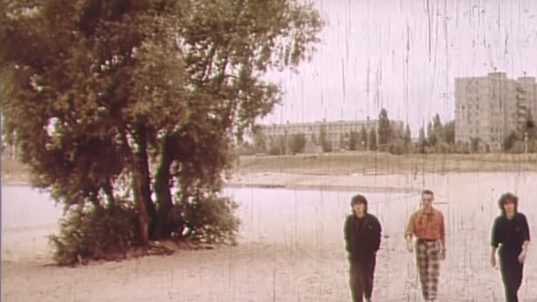 «Вербе Цоя» в Киеве предоставили статус ботанического памятника