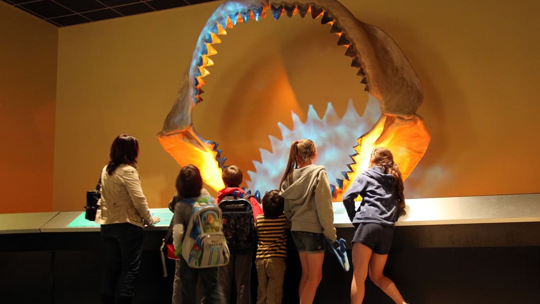 Діти дивляться на реконструкцію щелеп мегалодона у Природничому музеї в Далласі, 16 березня 2011 року