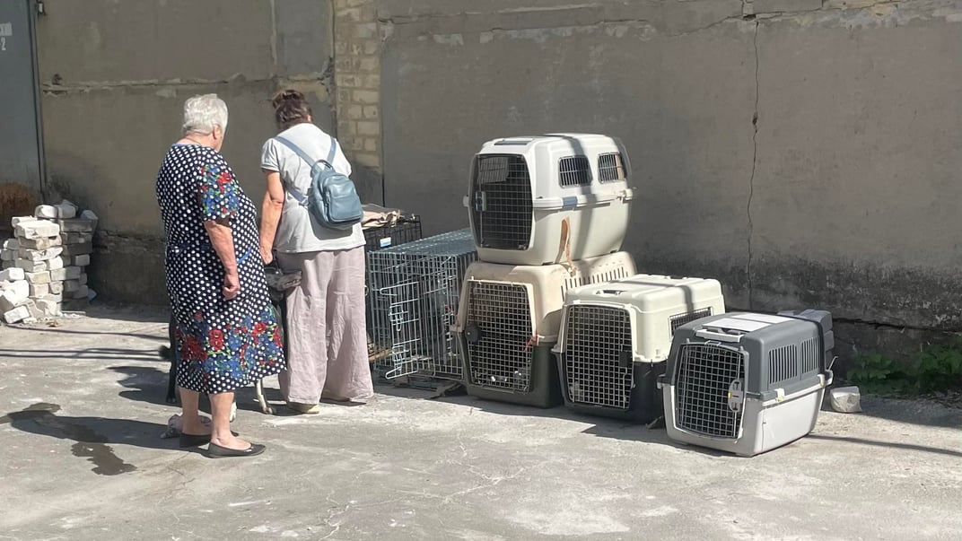 Евакуйовані з Донеччини жінки