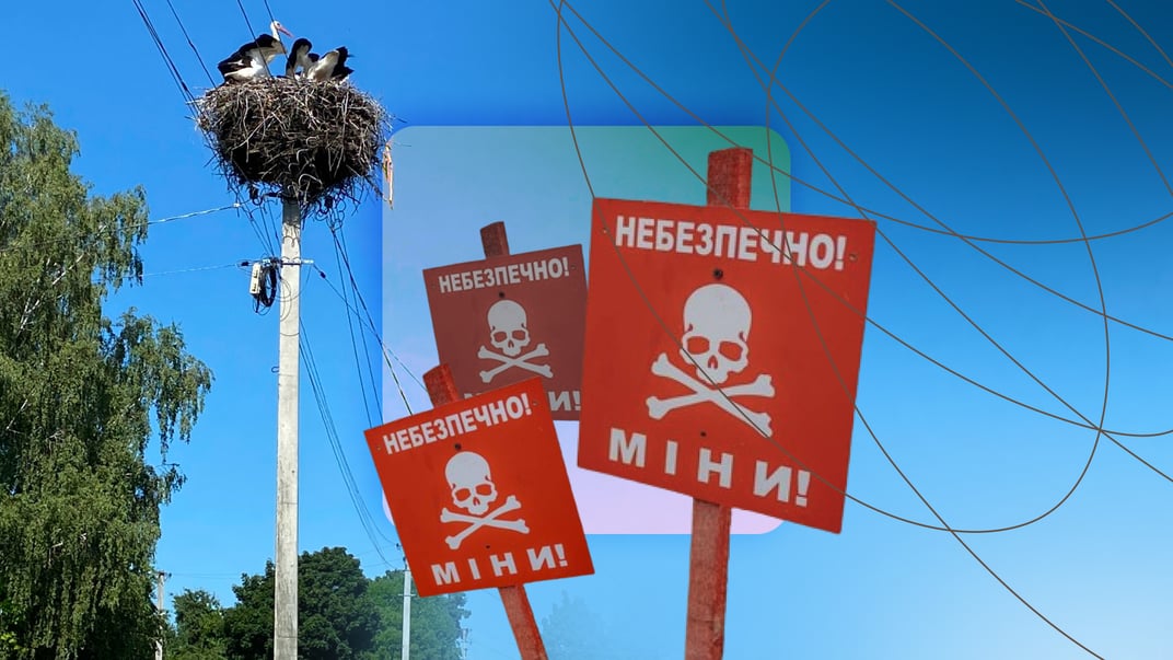 Мін боятися — в ліс не ходити? Як живе прикордоння Рівненщини поблизу Білорусі