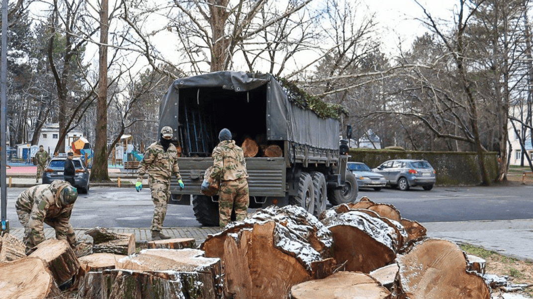 Військові рф завантажують деревину з сімферопольського парку