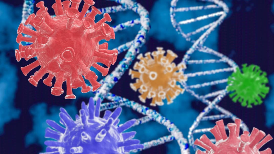 Коронавірус — удруге й навіть утретє? Коли антитіла не лише не рятують, а й «допомагають» заразитися ще раз