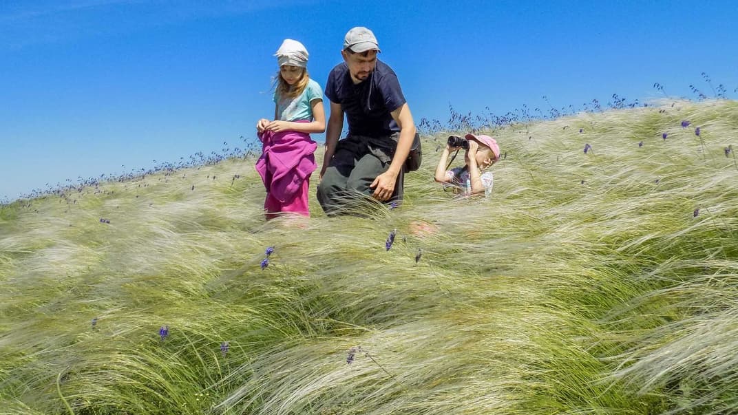 Природа йде в контрнаступ. Навіщо мешканець Донеччини хоче повернути дикий степ на свій земельний пай