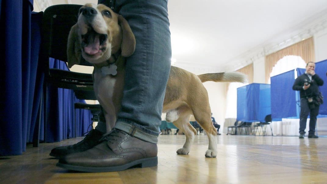 Избиратель с собакой на одном из участков в Киеве
