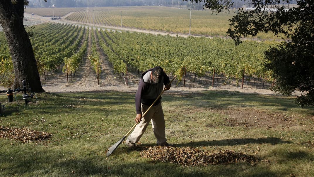 Винодельня в долине Сонома, Калифорния, США, октябрь 2017 года