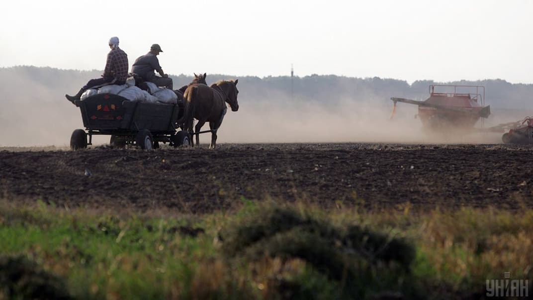 Селяни везуть мішки з врожаєм картоплі на возі через поле у селі Млинівці Тернопільської області, 12 вересня 2009 року