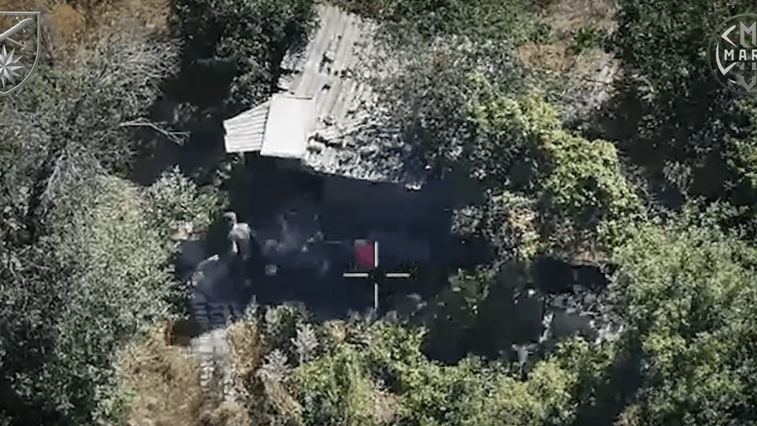 Оккупант забирает продукты у пожилой женщины в Донецкой области