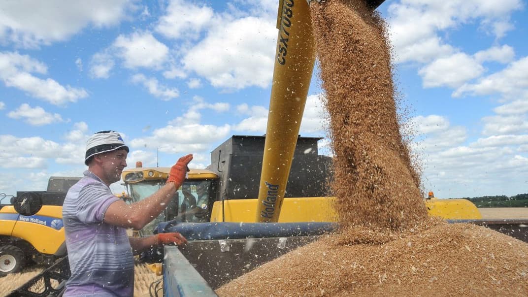 Сбор урожая пшеницы на поле одного из хозяйств в селе Миньковка в Харьковской области, 4 июля 2019 года
