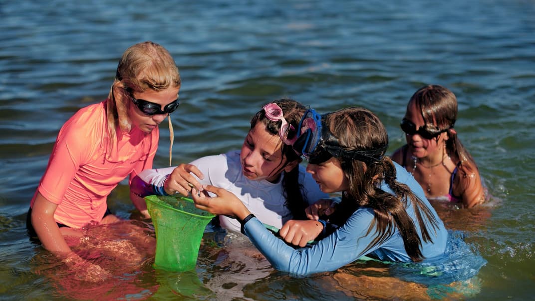 Дети рассматривают выловленные в водоеме ракушки