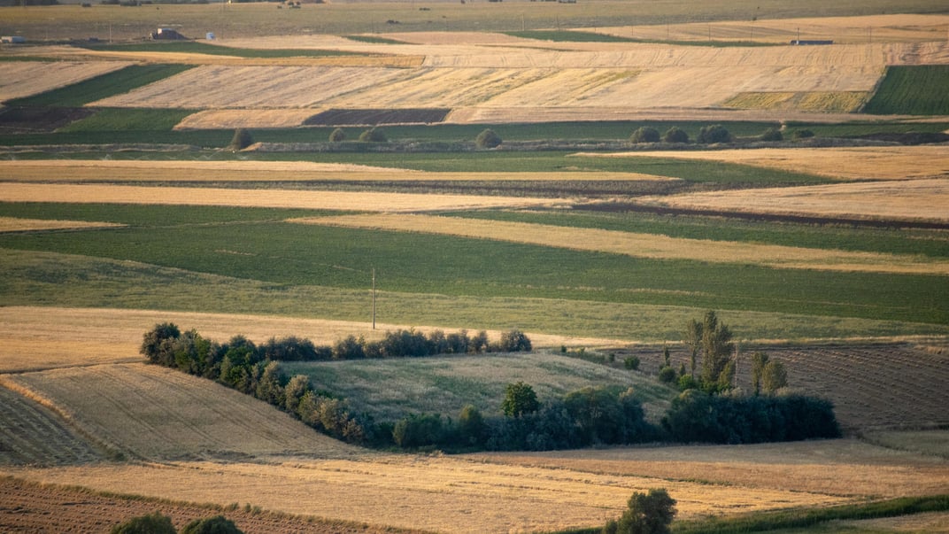 Земля і гроші. Наскільки зростає вартість гектара та якою вона буде найближчими роками