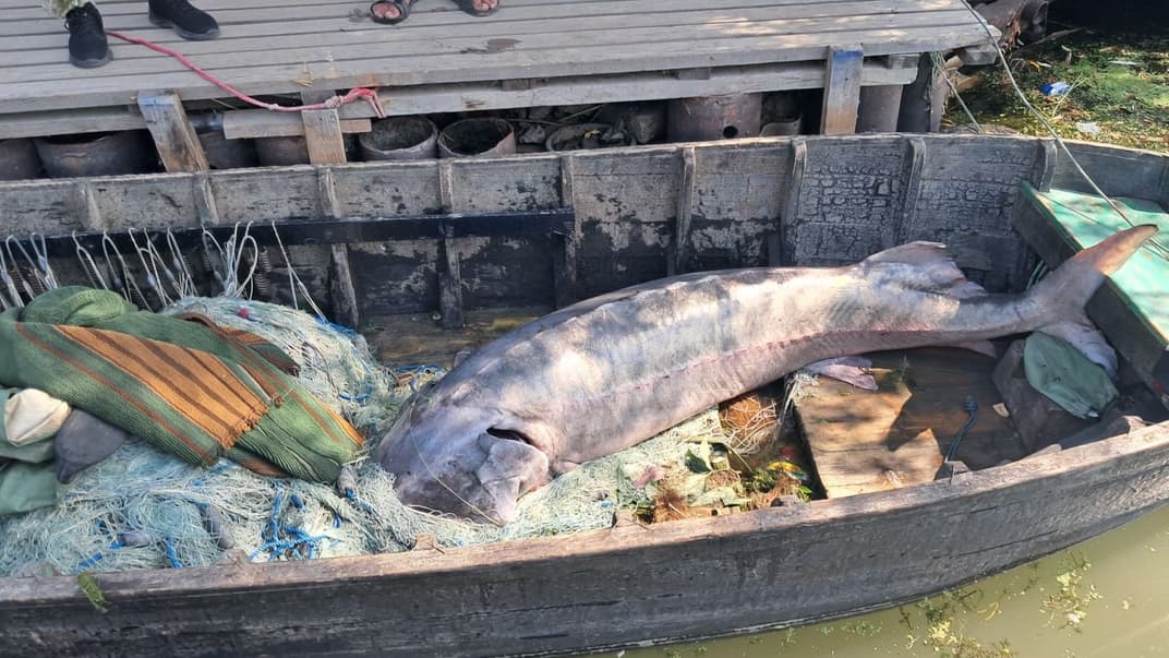 В Одесской области задержали вероятных браконьеров