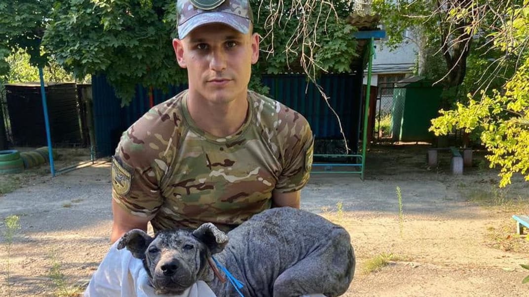 Поліціянти врятували пса із Курахового