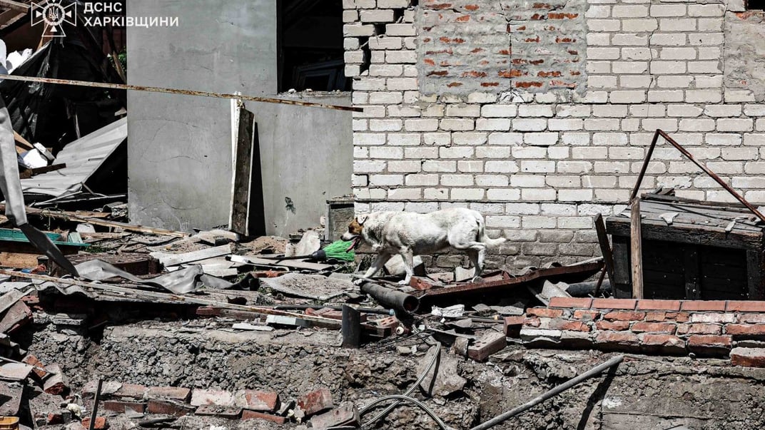 Последствия ударов рф по пригороду Харькова 31 мая