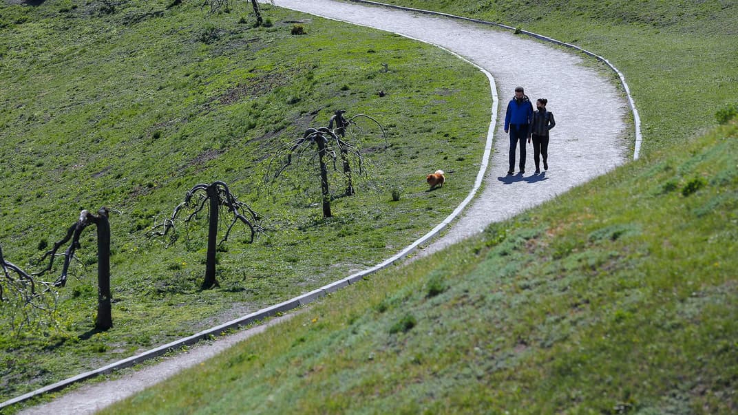 За одним із трьох сценаріїв поширення коронавірусу, кількість хворих в Україні в літній період мала знижуватися, але події розвиваються за менш оптимістичним сценарієм. На фото — люди в захисних масках гуляють із собакою у Києві, травень 2020 року