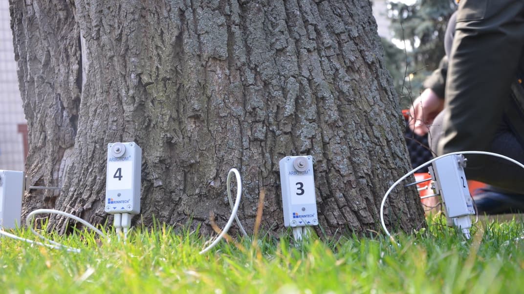 КМДА показала новий пристрій, який виявлятиме «хворі» та аварійні дерева