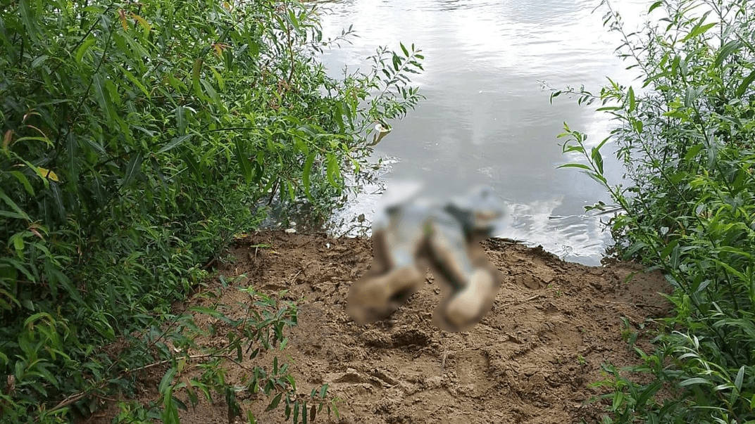 Тело утопленника на берегу реки Тиса