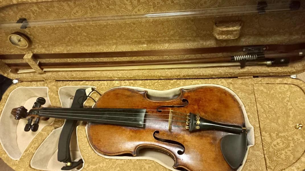 Пограничники нашли скрипку Страдивари в автобусе в Одесской области