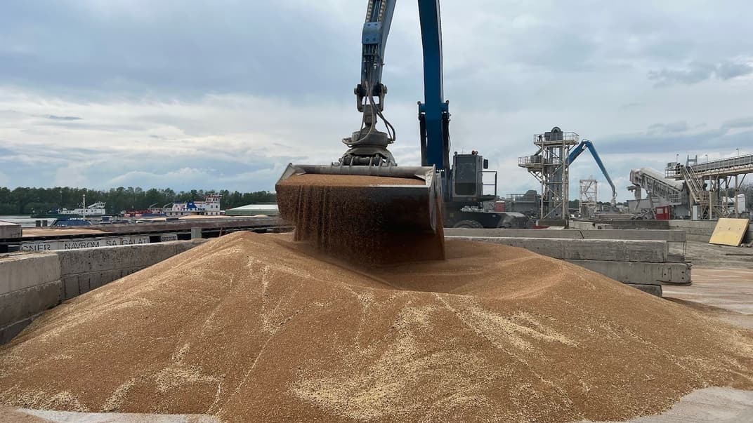 Иллюстративное фото