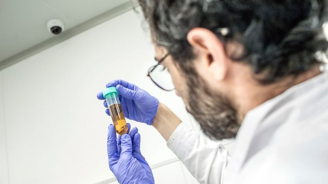 Готовый для использования в лечении пациентов экстракт каннабиса проверяют в промышленном фармацевтическом центре в городе Лод, Израиль, 23 января 2019 года