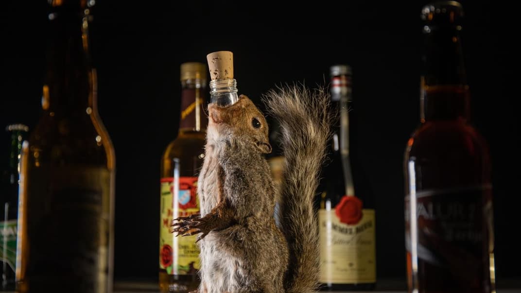 Бутылки со странными алкогольными напитками