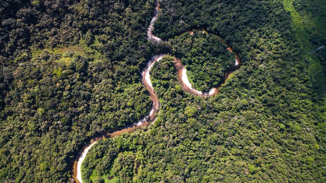Вид на Амазонский тропический лес с самолета, 6 ноября 2016 года