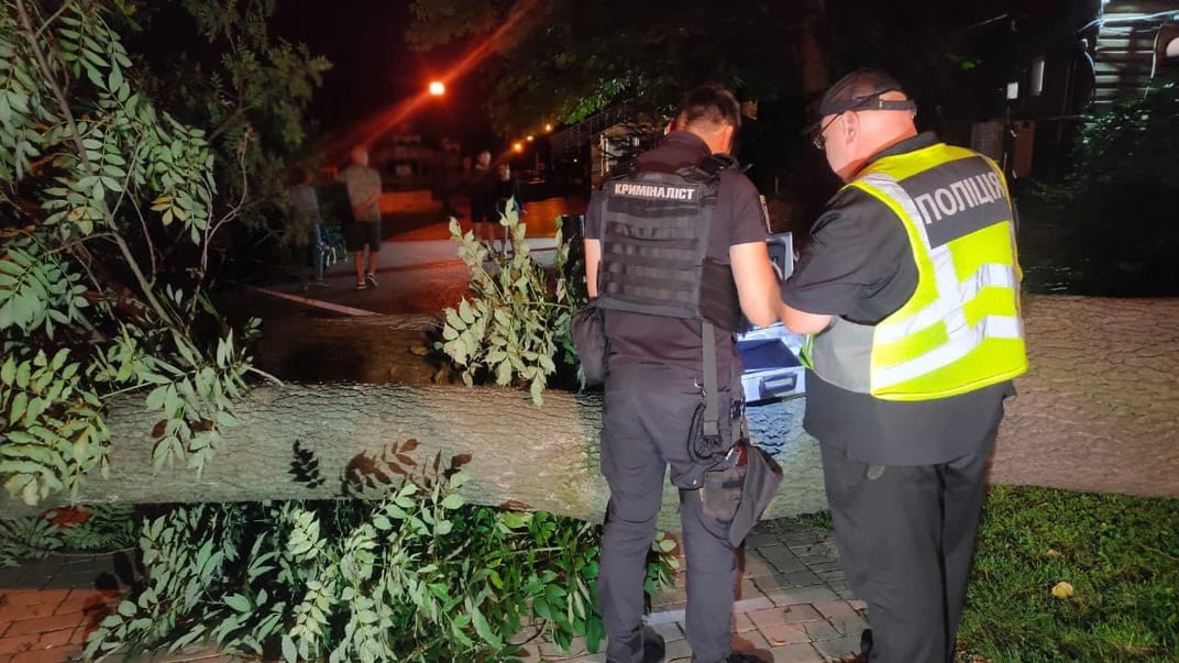 Поліція на місці падіння дерева у столичному парку імені Тараса Шевченка