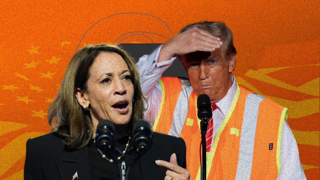 Трамп или Харрис. Кто будет президентом США и как американцы украинского происхождения могут повлиять на результат выборов