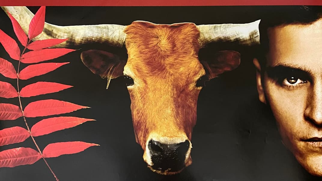 Зоозахисники, кіно та тероризм: розповідаємо про фільм «Земляни», який на вимогу зловмисника порадив дивитися Зеленський