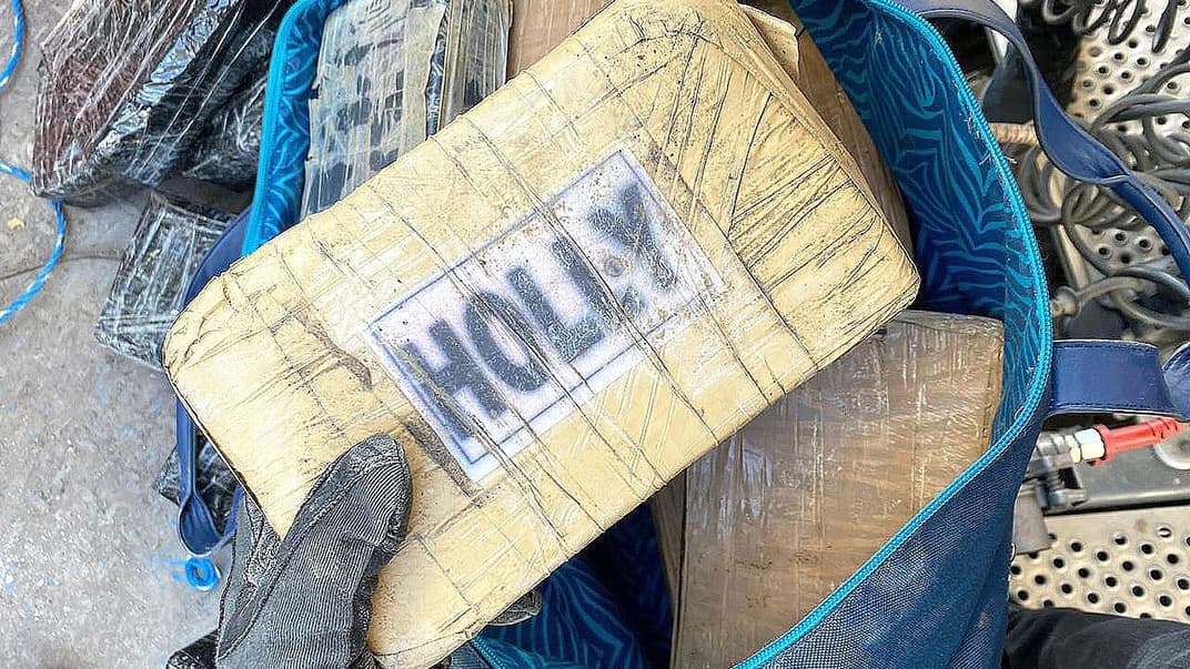 У контейнері з бананами виявили 100 розфасованих брикетів з кокаїном