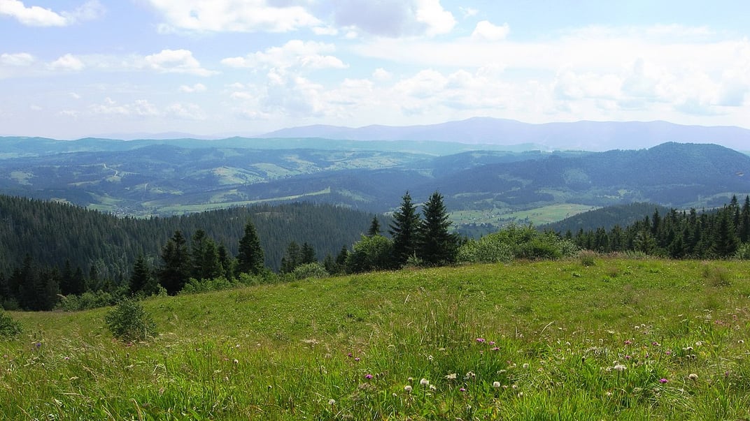 Полонина біля селища Славсько