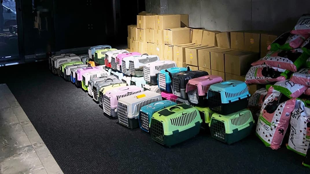 «Они не могут сами себя спасти. А мы могли и знали, что делать». Как украинцы помогают животным во время войны