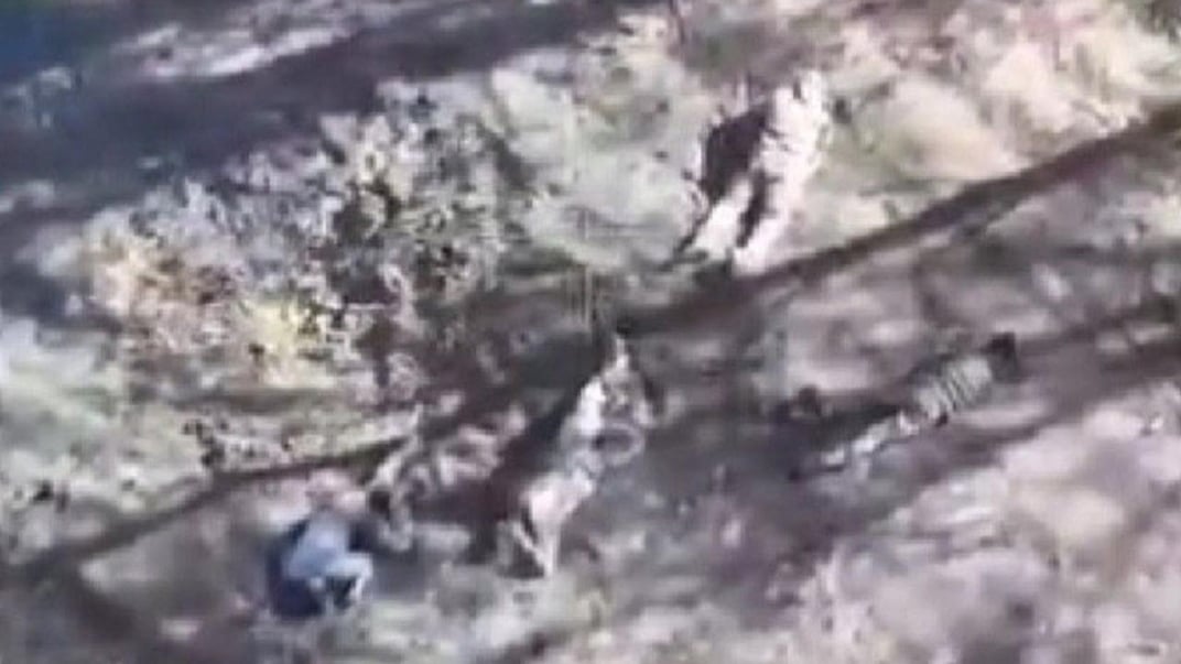 Безоружные украинские военные, сдавшиеся в плен россиянам вблизи Угледара и расстрелянные ими