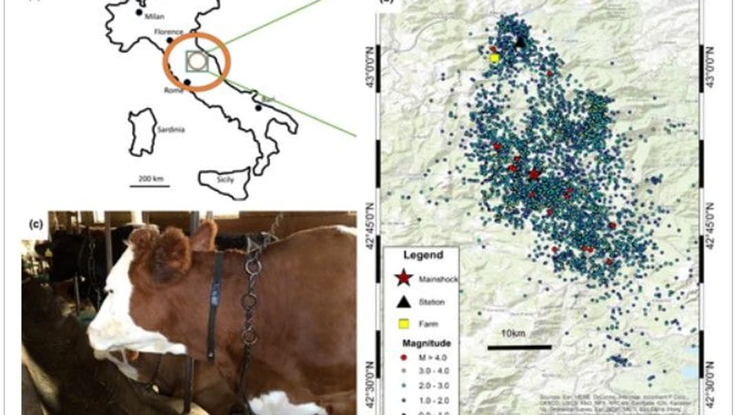 Результати дослідження, яким підтвержено, що тварини можуть передчувати землетруси