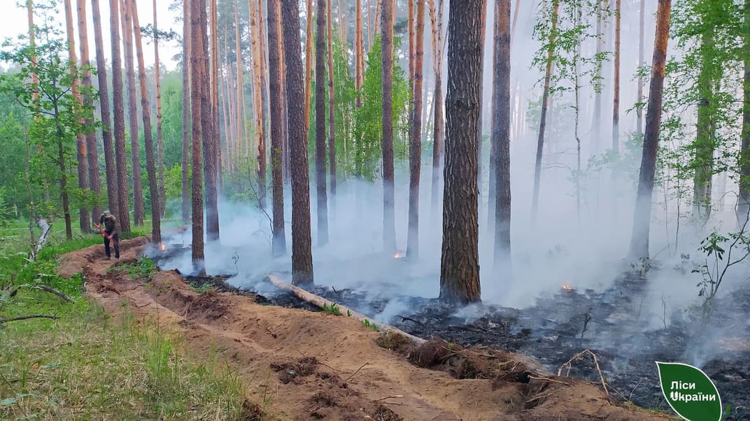 Лісівники створюють мінералізовані смуги в лісах і навколо прилеглих населених пунктів, щоб стримати пожежу