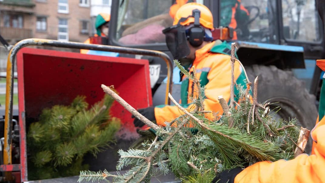 У Києві в січні працюватимуть пункти прийому новорічних ялинок