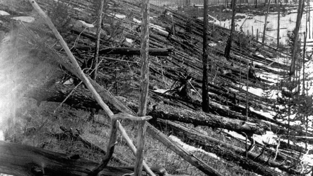 Сломанные деревья в районе реки Подкаменная Тунгуска через 45 лет после того, как в этой местности упал Тунгусский метеорит, Сибирь, Россия