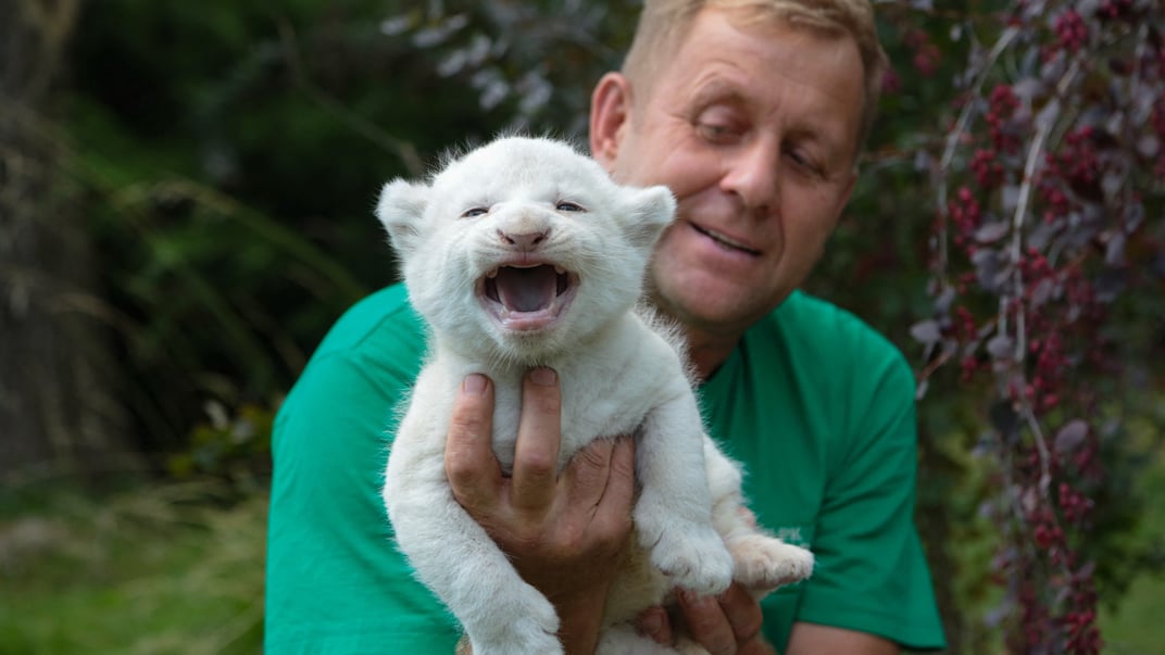 Олег Зубков