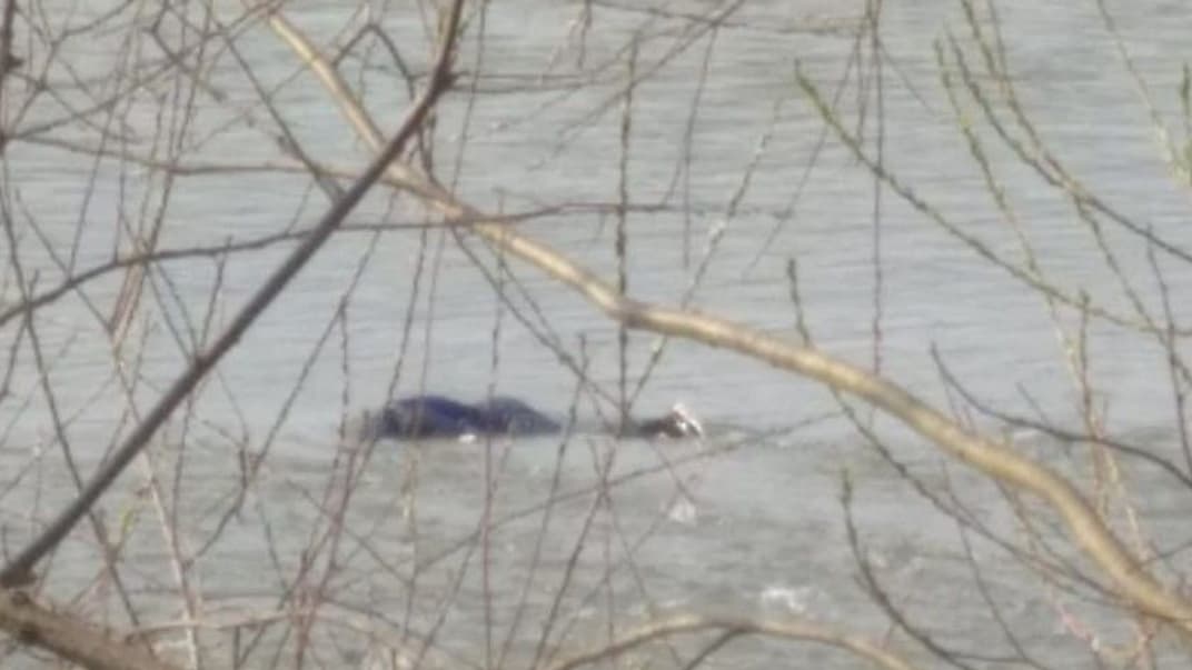 Тело молодого человека, которое обнаружили в Тисе утром 5 марта