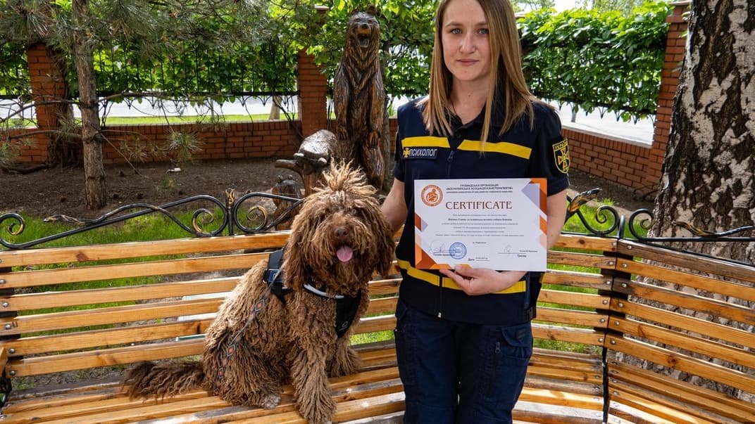 Собака-психолог Банана отримав сертифікат «терапевта»